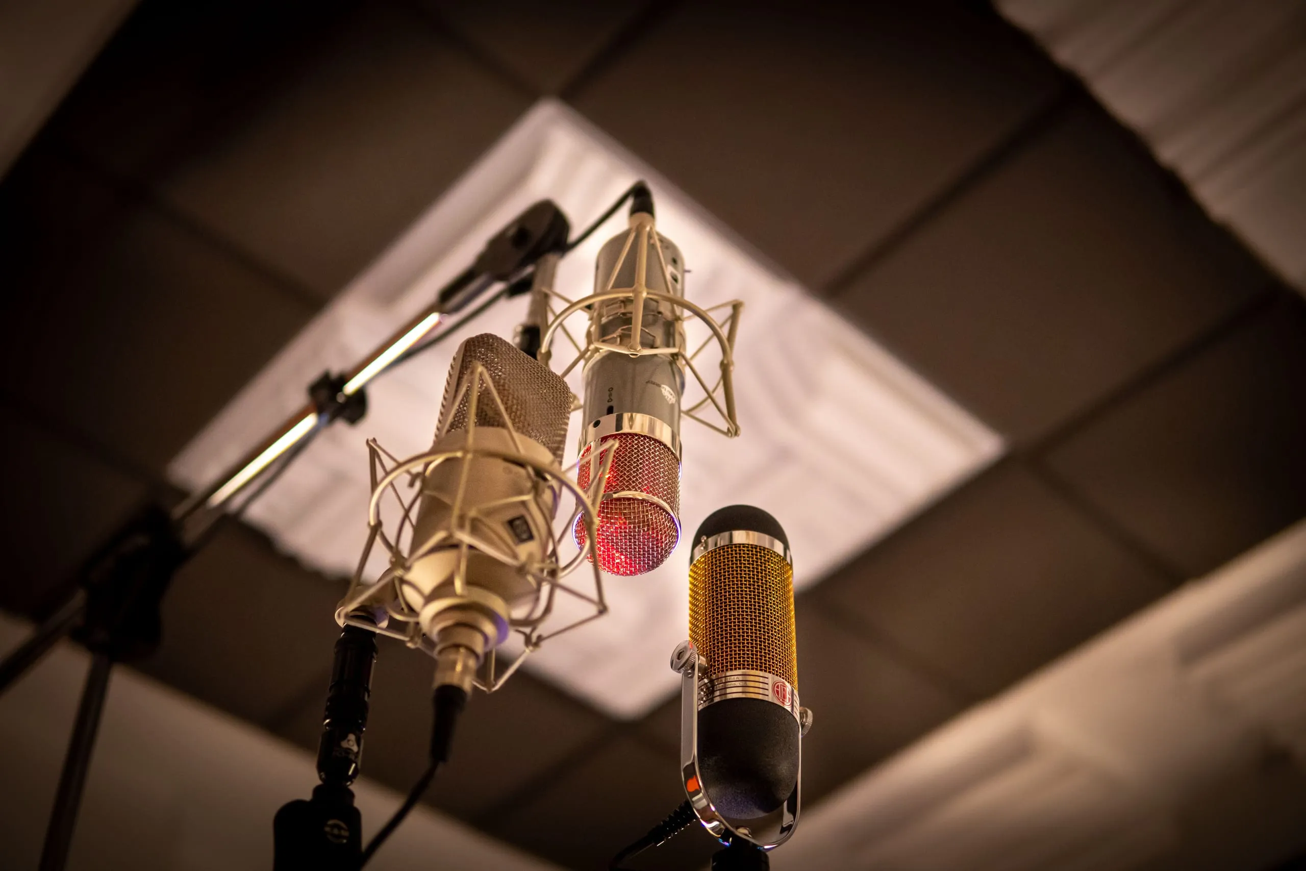 Microphones for Professional Voice Actors: The Ultimate Guide